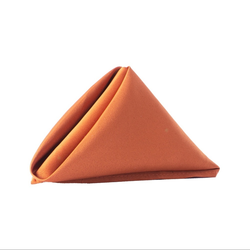 20”x20” Terracota Lamour Satin Napkins (20)